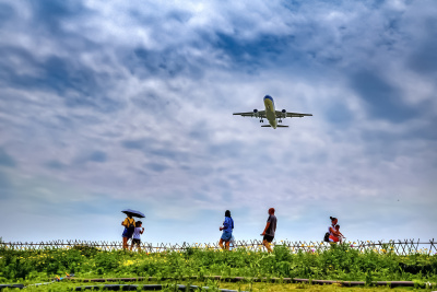 双流航空花田